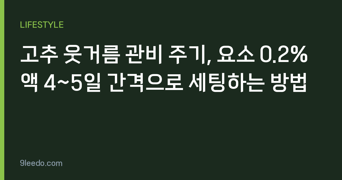 고추 웃거름 관비 주기, 요소 0.2%액 4~5일 간격으로 세팅하는 방법