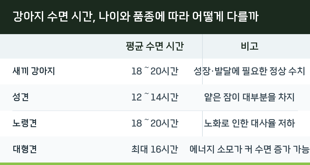 강아지 수면 시간, 나이와 품종에 따라 어떻게 다를까