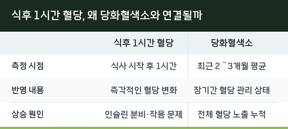 식후 1시간 혈당, 왜 당화혈색소와 연결될까