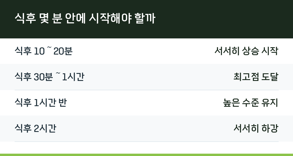 식후 몇 분 안에 시작해야 할까