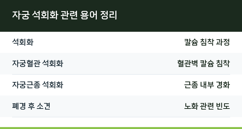 자궁 석회화 관련 용어 정리