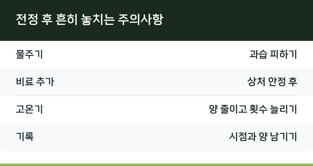 전정 후 흔히 놓치는 주의사항