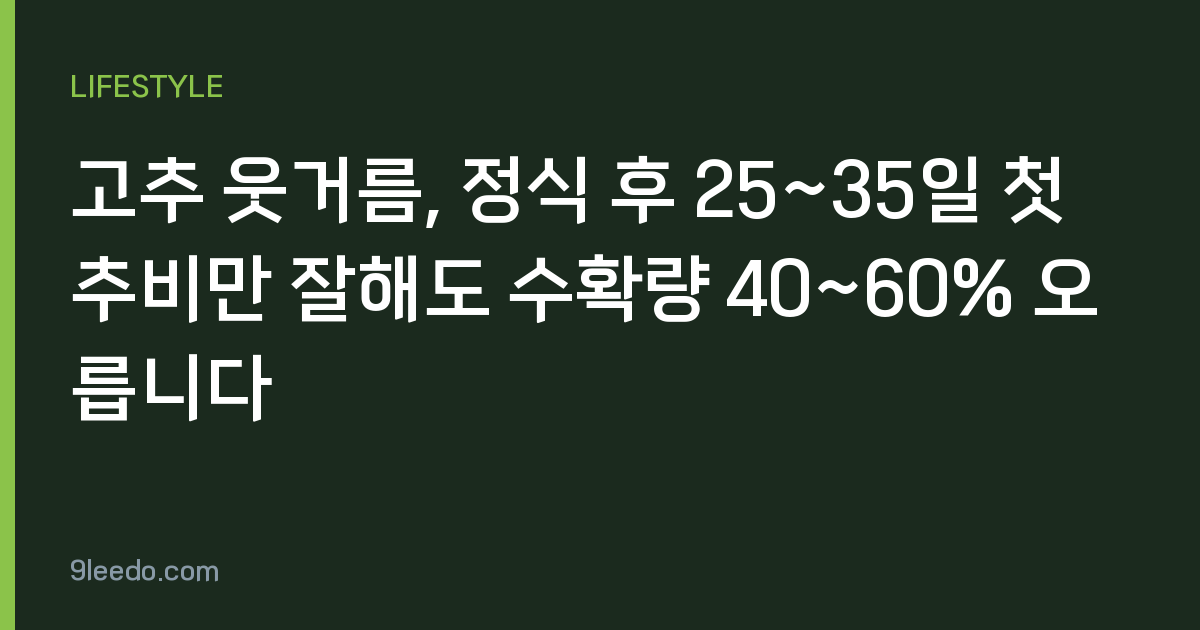 고추 웃거름, 정식 후 25~35일 첫 추비만 잘해도 수확량 40~60% 오릅니다