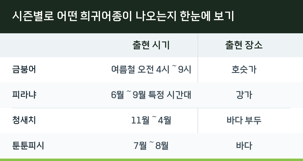 시즌별로 어떤 희귀어종이 나오는지 한눈에 보기