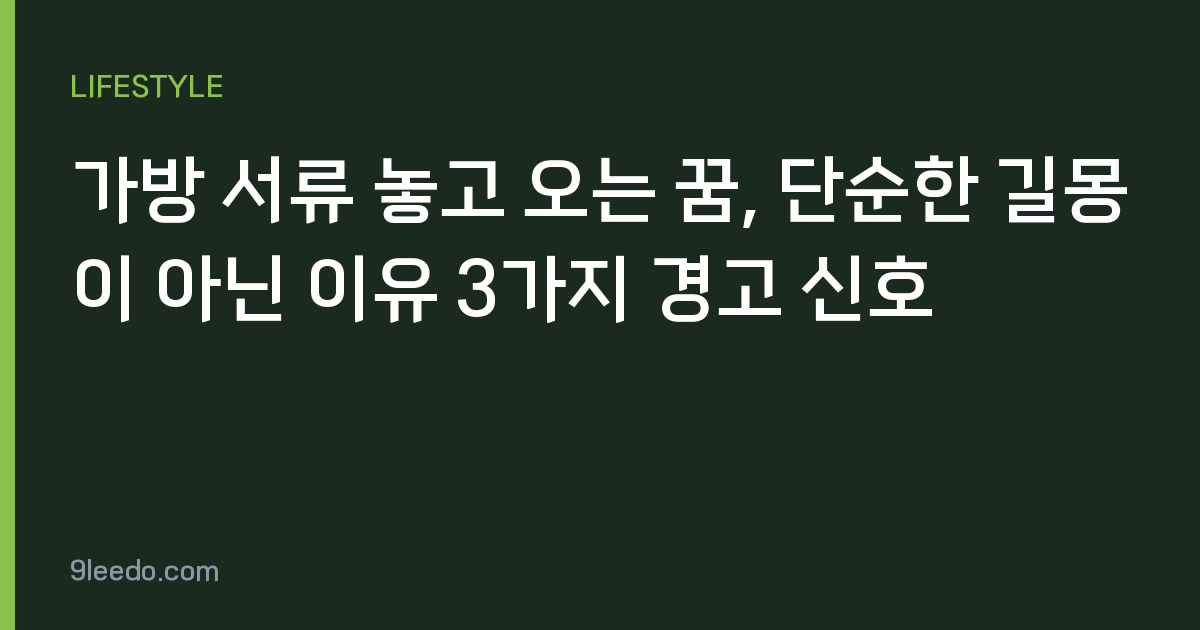 가방 서류 놓고 오는 꿈, 단순한 길몽이 아닌 이유 3가지 경고 신호
