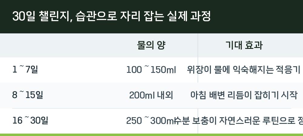 30일 챌린지, 습관으로 자리 잡는 실제 과정
