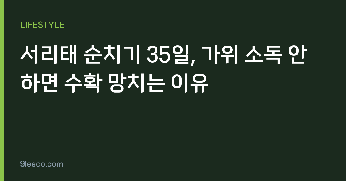 서리태 순치기 35일, 가위 소독 안 하면 수확 망치는 이유