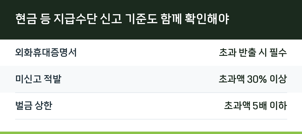 현금 등 지급수단 신고 기준도 함께 확인해야