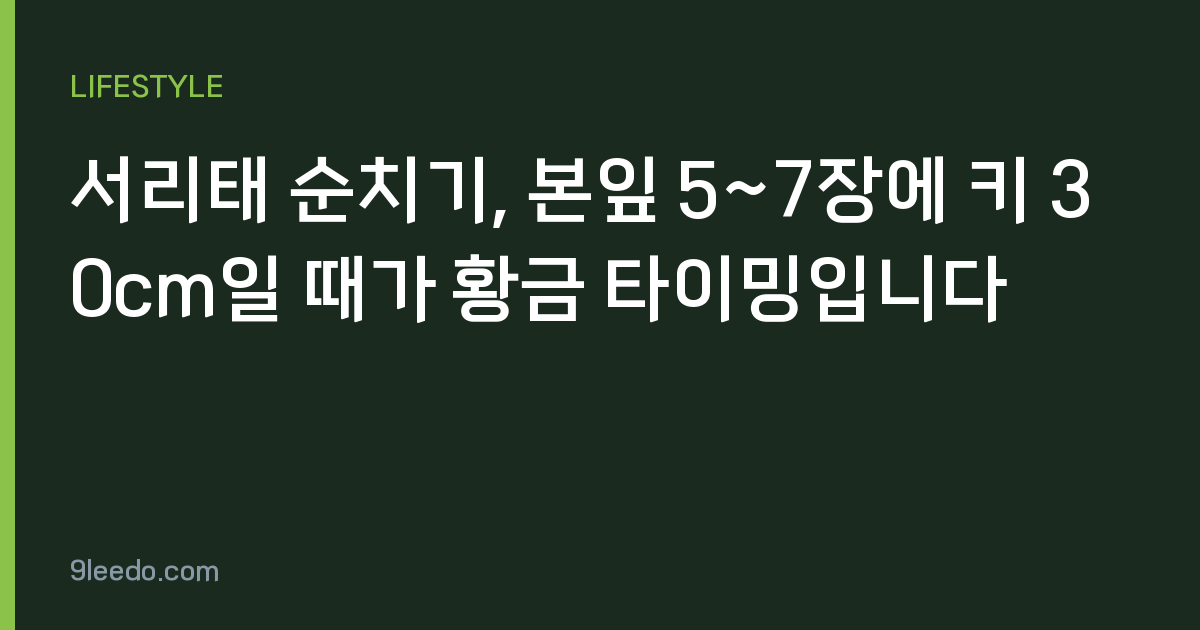 서리태 순치기, 본잎 5~7장에 키 30cm일 때가 황금 타이밍입니다