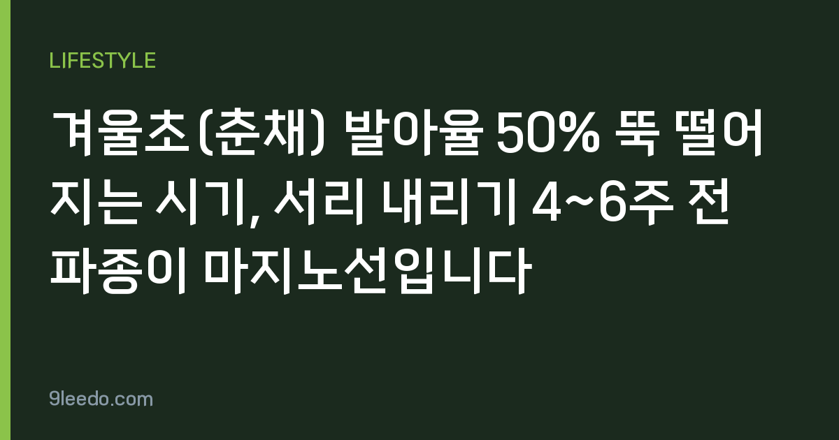 겨울초(춘채) 발아율 50% 뚝 떨어지는 시기, 서리 내리기 4~6주 전 파종이 마지노선입니다