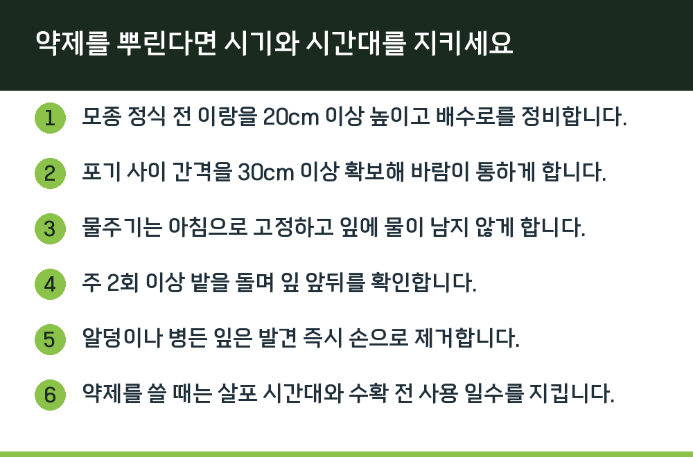 약제를 뿌린다면 시기와 시간대를 지키세요