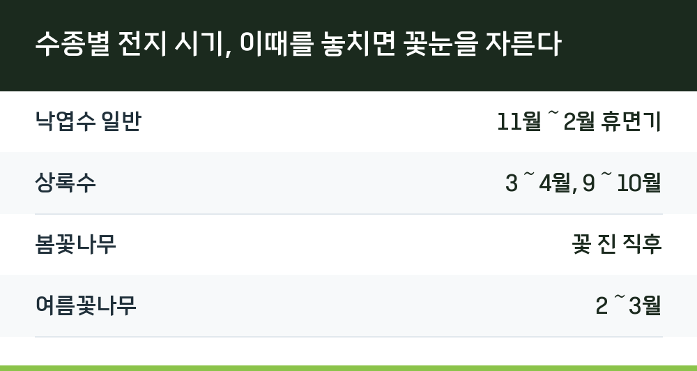 수종별 전지 시기, 이때를 놓치면 꽃눈을 자른다