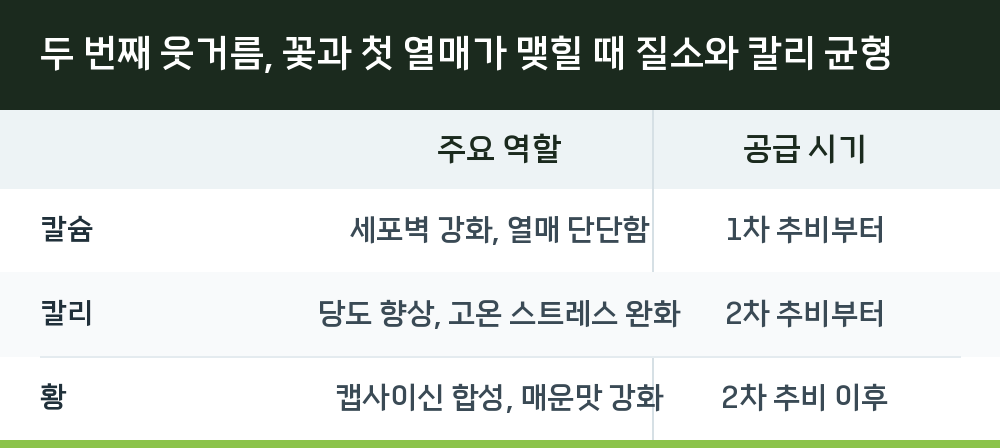 두 번째 웃거름, 꽃과 첫 열매가 맺힐 때 질소와 칼리 균형