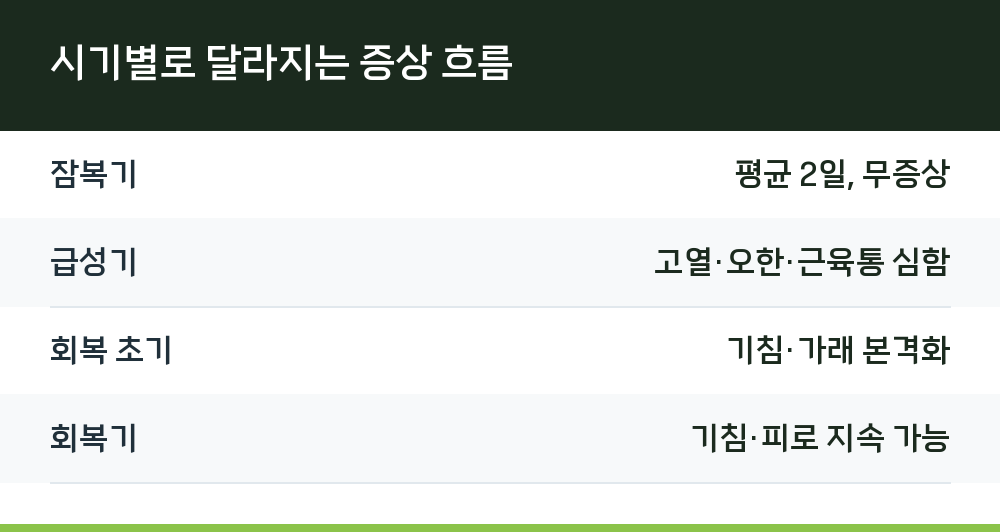 시기별로 달라지는 증상 흐름