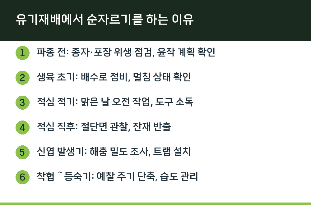 유기재배에서 순자르기를 하는 이유