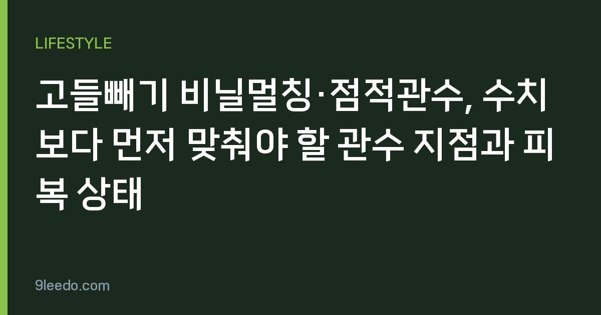 고들빼기 비닐멀칭·점적관수, 수치보다 먼저 맞춰야 할 관수 지점과 피복 상태