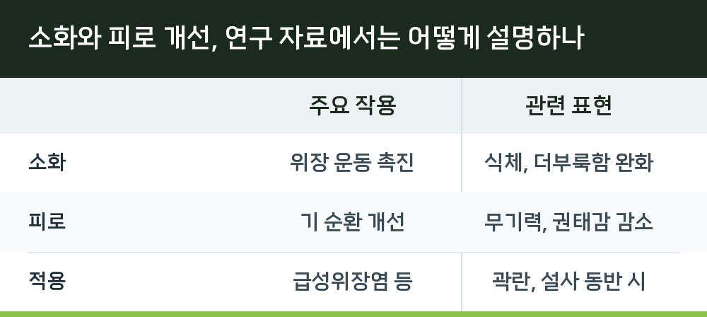 소화와 피로 개선, 연구 자료에서는 어떻게 설명하나
