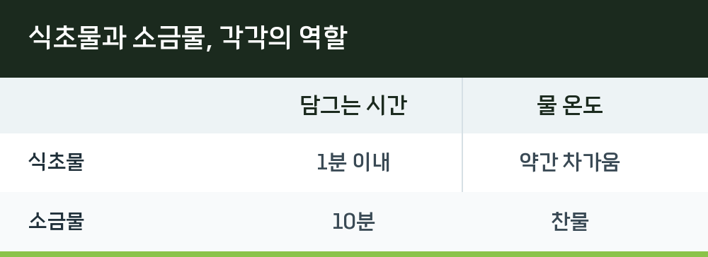 식초물과 소금물, 각각의 역할