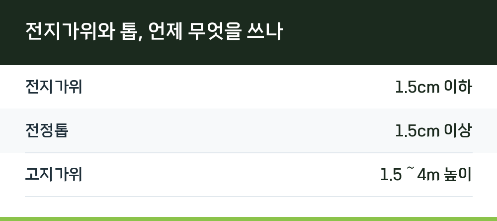 전지가위와 톱, 언제 무엇을 쓰나