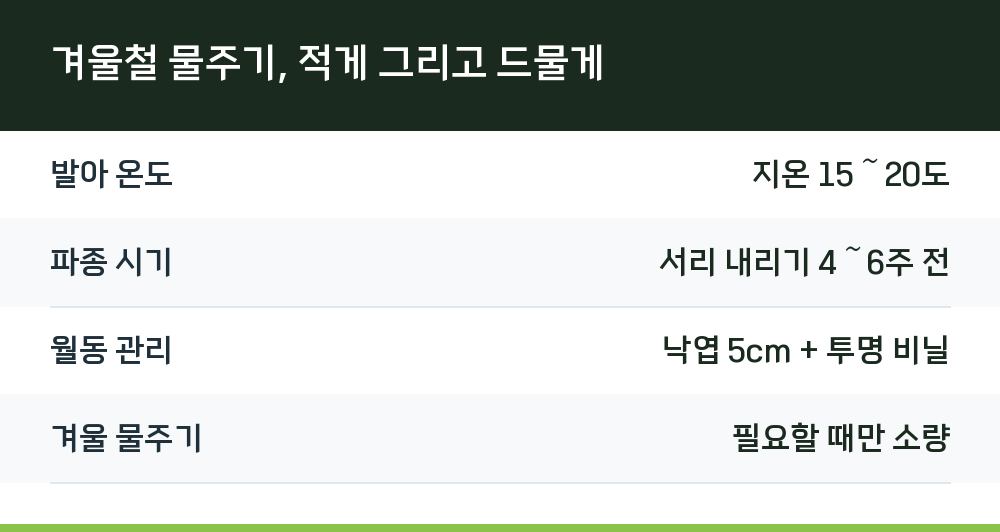 겨울철 물주기, 적게 그리고 드물게