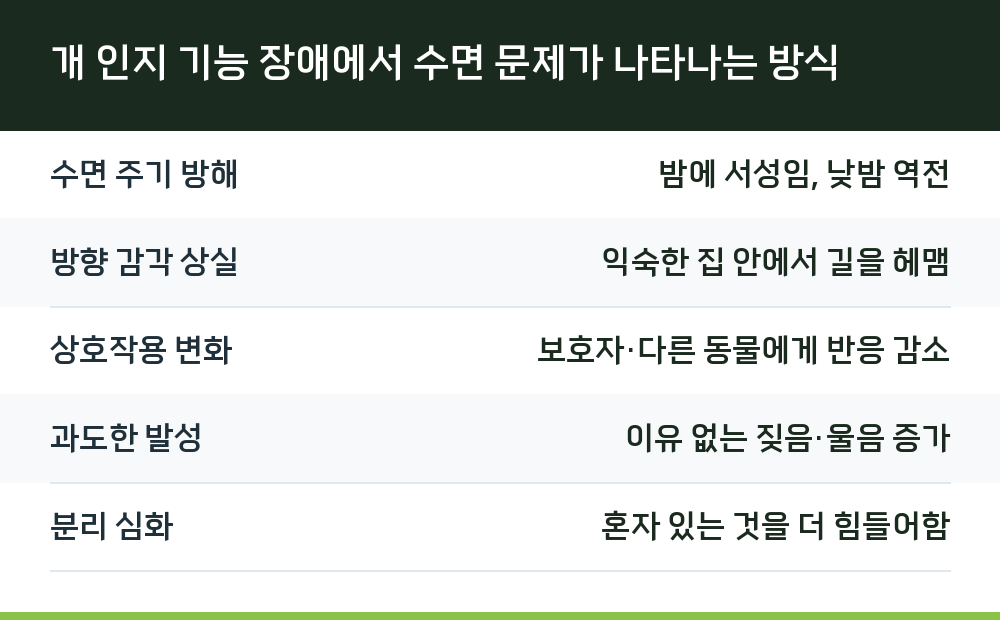 개 인지 기능 장애에서 수면 문제가 나타나는 방식