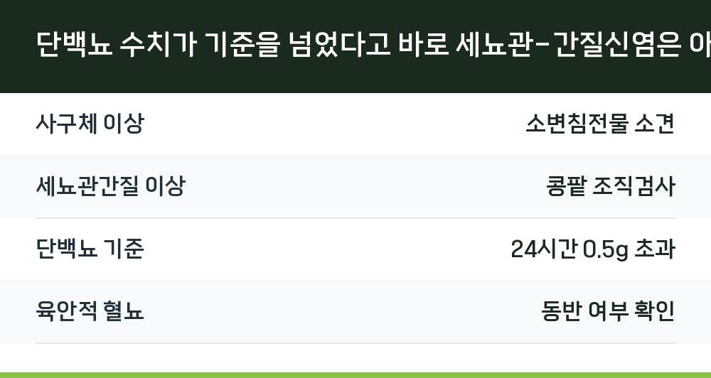 단백뇨 수치가 기준을 넘었다고 바로 세뇨관-간질신염은 아닙니다