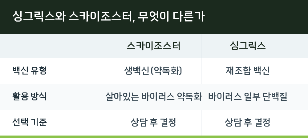 싱그릭스와 스카이조스터, 무엇이 다른가