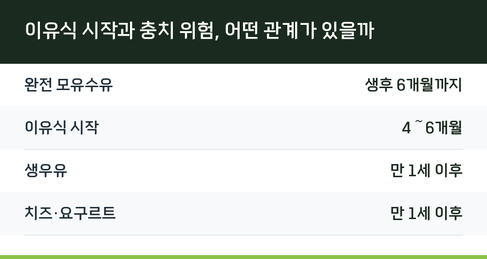 이유식 시작과 충치 위험, 어떤 관계가 있을까