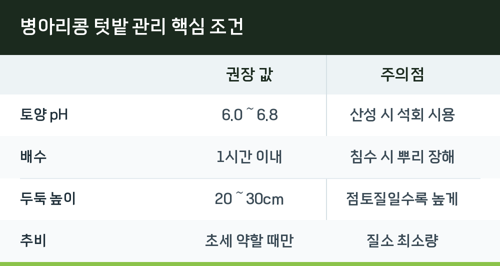 병아리콩 텃밭 관리 핵심 조건