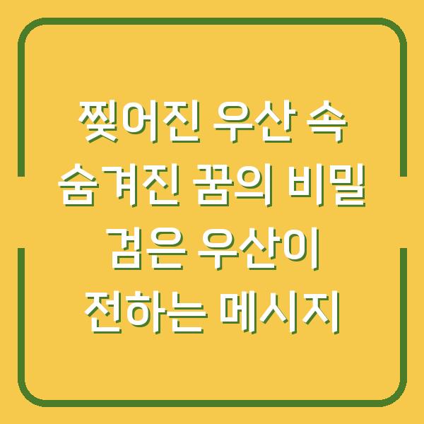 찢어진 우산 속 숨겨진 꿈의 비밀 검은 우산이 전하는 메시지