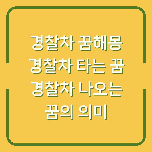 경찰차 꿈해몽 경찰차 타는 꿈 경찰차 나오는 꿈의 의미