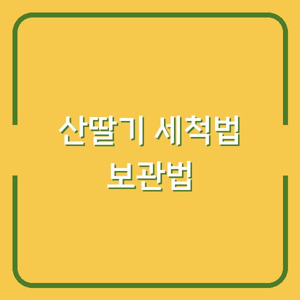 산딸기 세척법 보관법