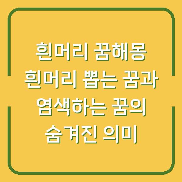 흰머리 꿈해몽 흰머리 뽑는 꿈과 염색하는 꿈의 숨겨진 의미