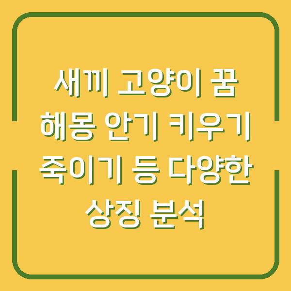 새끼 고양이 꿈 해몽 안기 키우기 죽이기 등 다양한 상징 분석