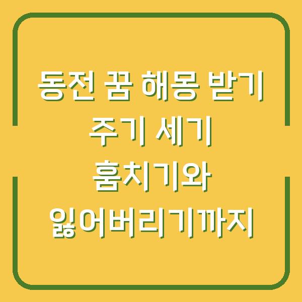 동전 꿈 해몽 받기 주기 세기 훔치기와 잃어버리기까지