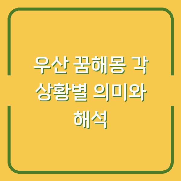 우산 꿈해몽 각 상황별 의미와 해석