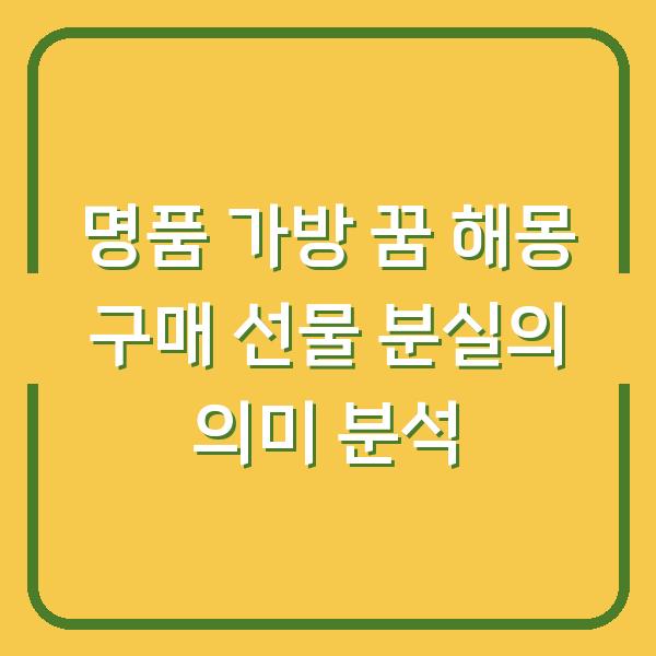 명품 가방 꿈 해몽 구매 선물 분실의 의미 분석