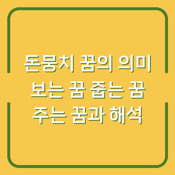 돈뭉치 꿈의 의미 보는 꿈 줍는 꿈 주는 꿈과 해석
