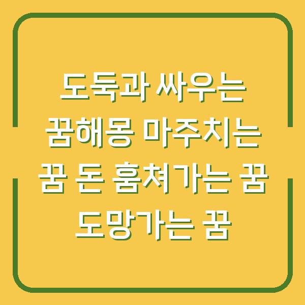 도둑과 싸우는 꿈해몽 마주치는 꿈 돈 훔쳐가는 꿈 도망가는 꿈
