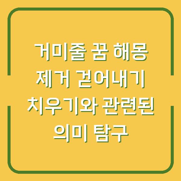 거미줄 꿈 해몽 제거 걷어내기 치우기와 관련된 의미 탐구