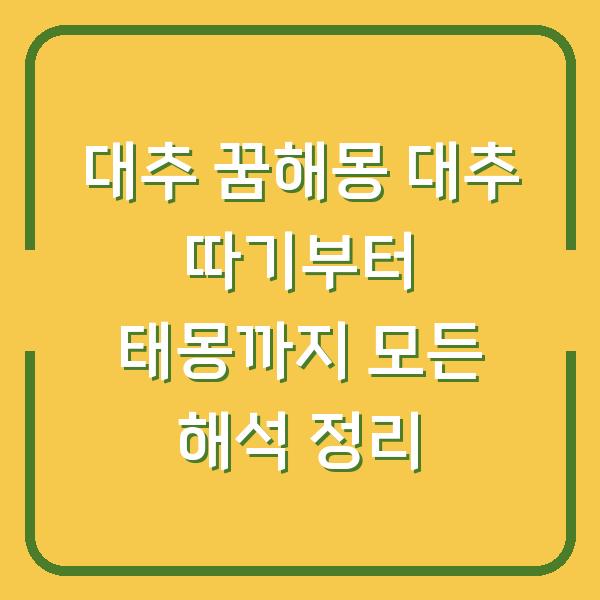 대추 꿈해몽 대추 따기부터 태몽까지 모든 해석 정리