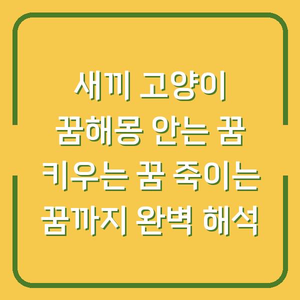 새끼 고양이 꿈해몽 안는 꿈 키우는 꿈 죽이는 꿈까지 완벽 해석