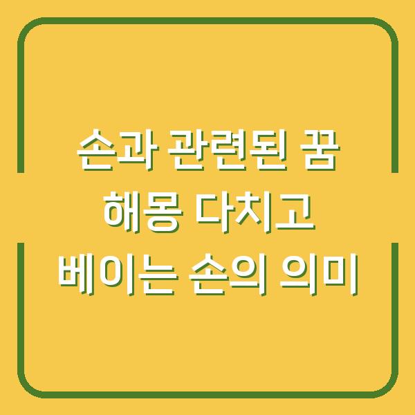 손과 관련된 꿈 해몽 다치고 베이는 손의 의미