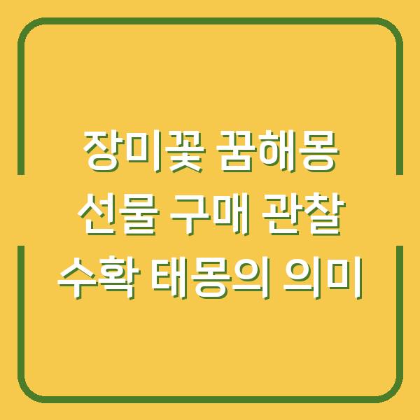 장미꽃 꿈해몽 선물 구매 관찰 수확 태몽의 의미
