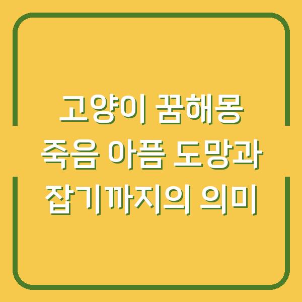 고양이 꿈해몽 죽음 아픔 도망과 잡기까지의 의미