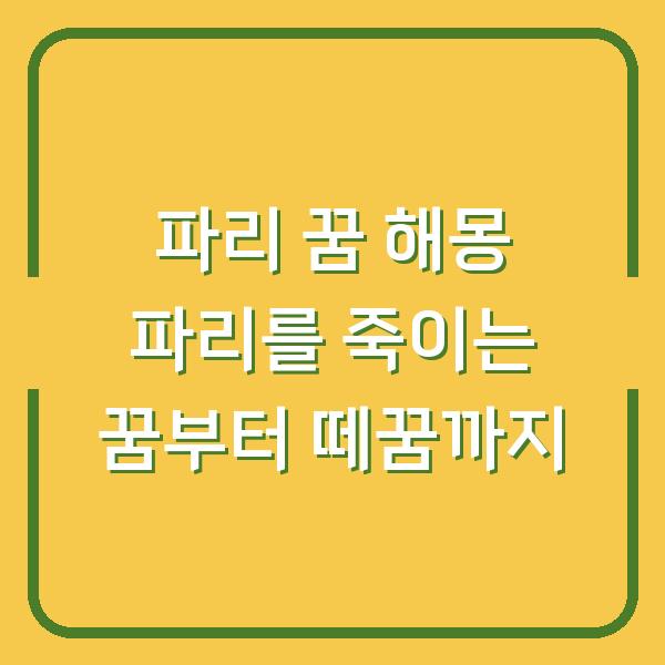 파리 꿈 해몽 파리를 죽이는 꿈부터 떼꿈까지