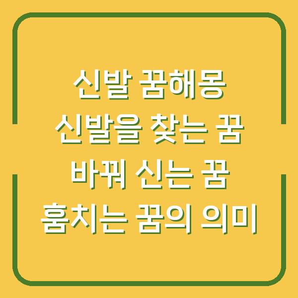 신발 꿈해몽 신발을 찾는 꿈 바꿔 신는 꿈 훔치는 꿈의 의미