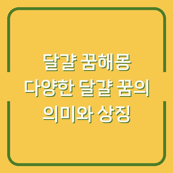 달걀 꿈해몽 다양한 달걀 꿈의 의미와 상징
