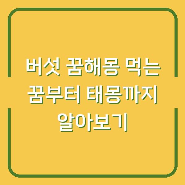 버섯 꿈해몽 먹는 꿈부터 태몽까지 알아보기