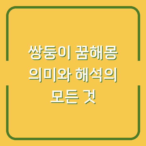쌍둥이 꿈해몽 의미와 해석의 모든 것
